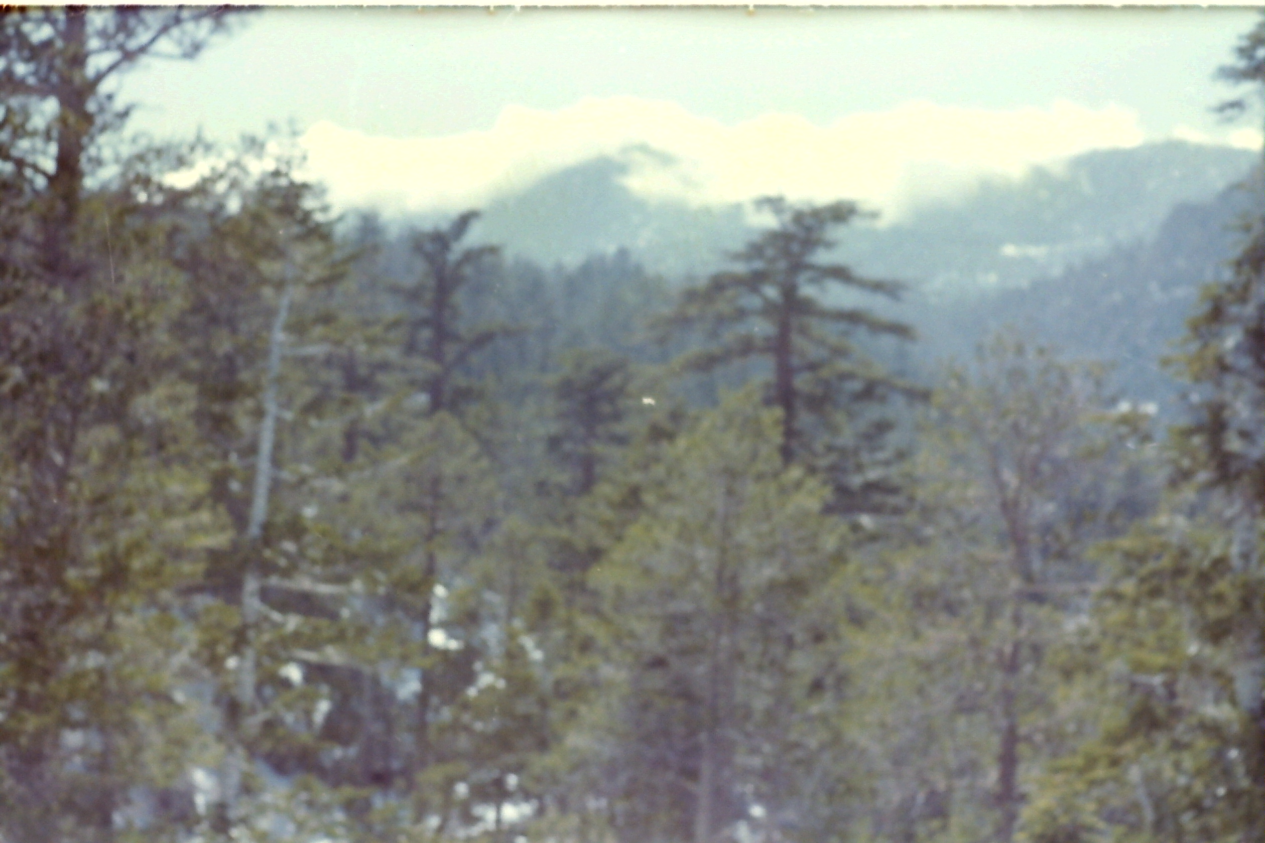 1974-08_P35 MtSanJacinto_prob not part of this batch - dont know date